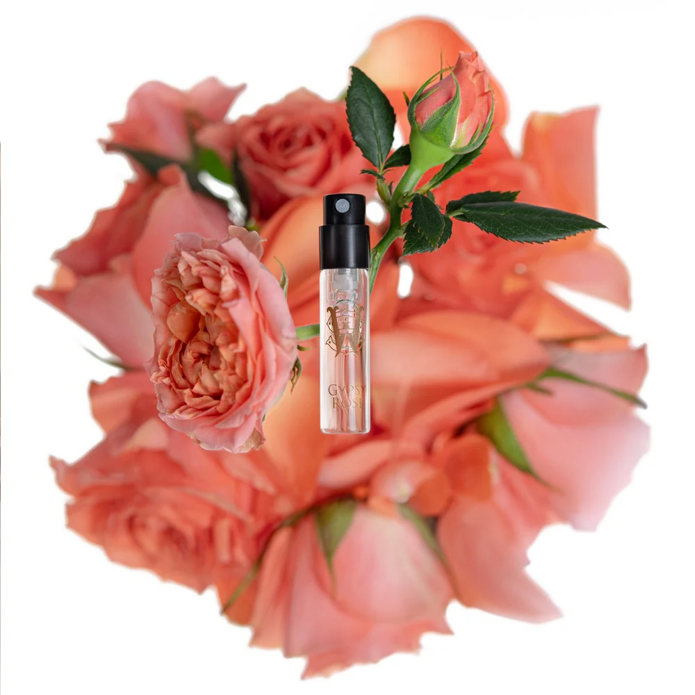 Gypsy Rose - Image 3